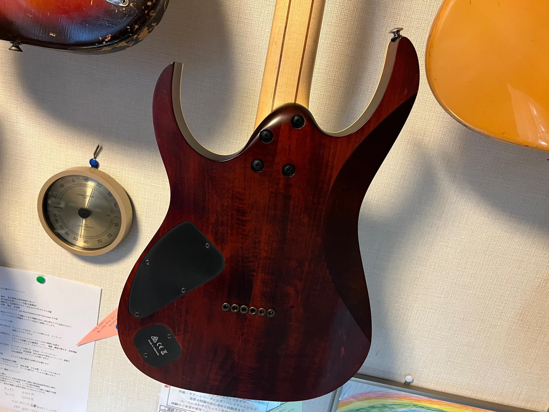 IBANEZ RG721RW ローズウッド系の材をボディに使用しFIXED