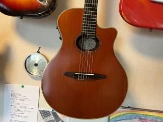エレガット - ギター買取 東京 - ギターのじゃべらぼう