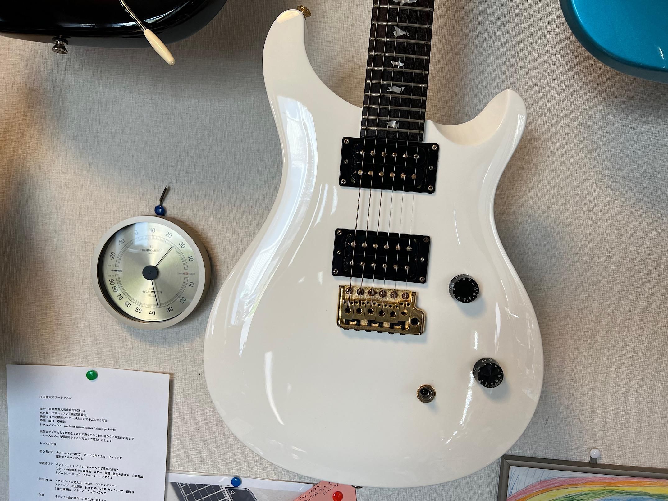 PRS SE Dave Navarro シグネチャーモデル-