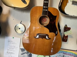 GIBSON - ギター買取 東京 - ギターのじゃべらぼう