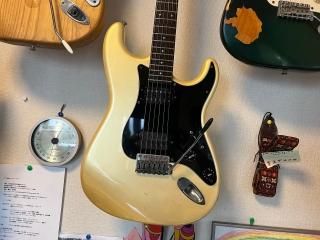 Amazon.co.jp: CAHAYA ダブルヘッド オートロック ギター