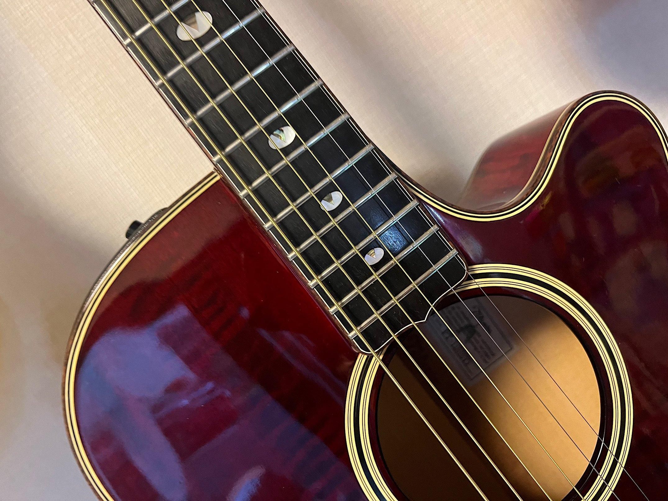 TAKAMINE PT-118 タカミネ黄金期のフラッグシップ機種！アーチド