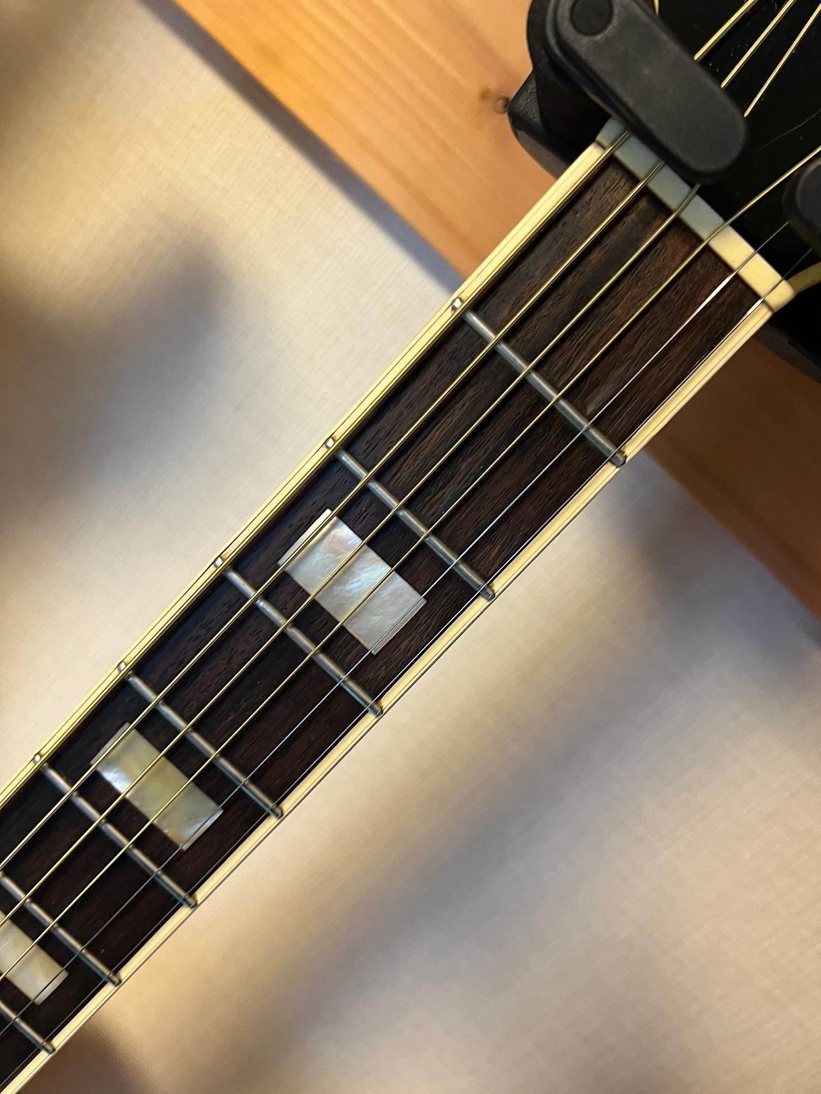 YAMAKI B40 コアな人気を誇る70年代のヤマキのバッファロー