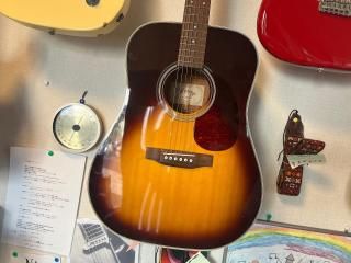 Sawtooth Guitars Heritage 7 String HM724 Electric Guitar Co