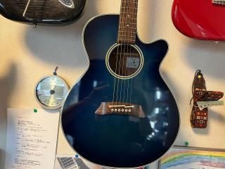 超絶当たり個体！Takamine エレアコ ENV460SC 海外輸出用　レア 超絶当たり個体！Takamine エレアコ ENV460SC 海外輸出用 レア