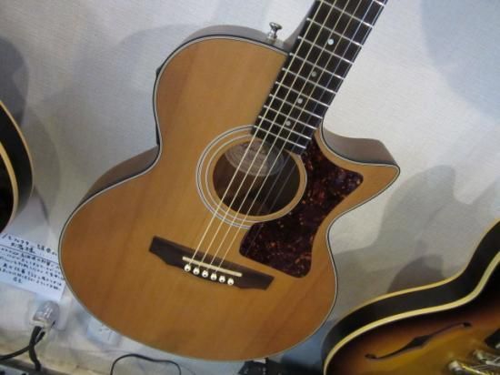 GUILD S-4CE USAギルドのソングバードの深胴モデル！良質の