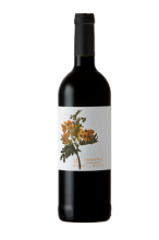 ボタニカ ビッグ・フラワー カベルネ・フラン 2015 Botanica Big Flower Cabernet Franc 【南アフリカワイン】