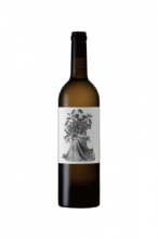 ボタニカ フラワー・ガール アルバリーニョ 2024 Botanica Flower Girl Albarino 【南アフリカワイン】【白ワイン】
