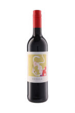 顦٥͡˥ Vuyela Cabernet Sauvignon եꥫ磻֥ۡ磻