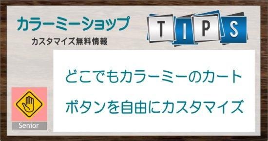 カラーミーショップ カートボタンのカスタマイズ カートボタン自由自在 制作 作成代行 Sbdスタイル カラーミーショップ カートボタンのカスタマイズ カートボタン自由自在 制作 作成代行 Sbdスタイル
