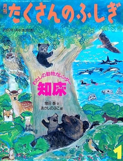 わたしの動物カレンダー 知床 たくさんのふしぎ262号 - 中古