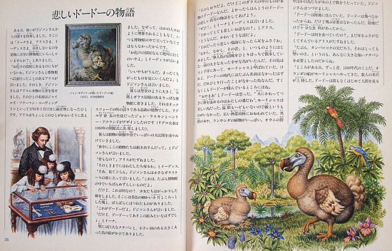 ふしぎの国のアリスの物語 もうひとりのアリスとルイス・キャロル - 中古絵本と、絵本やかわいい古本屋 -secondhand books online-