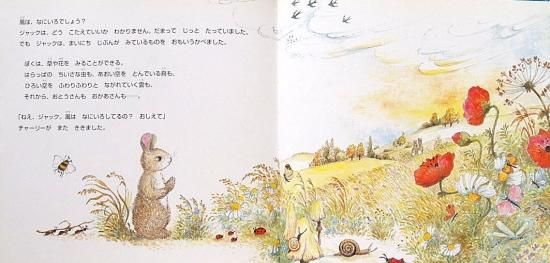 こうさぎジャック ぼくたちともだち - 中古絵本と、絵本や