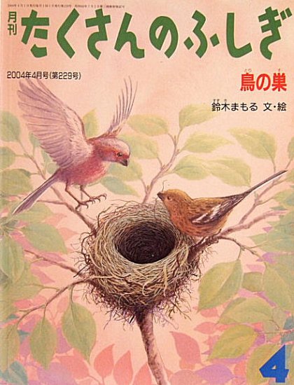 鳥の巣 たくさんのふしぎ２２９号 - 中古絵本と、絵本やかわいい古本屋 -secondhand books online-