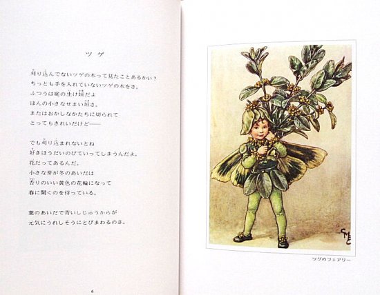 FLOWER FAIRIES of the Trees 木の妖精 - 中古絵本と、絵本やかわいい古本屋 -secondhand books  online-