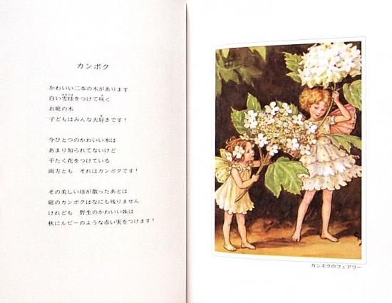 FLOWER FAIRIES of the Trees 木の妖精 - 中古絵本と、絵本やかわいい 