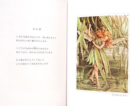 FLOWER FAIRIES of the Trees 木の妖精 - 中古絵本と、絵本やかわいい古本屋 -secondhand books  online-