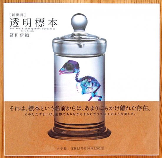 新世界］透明標本 New World Transparent Specimens - 中古絵本と