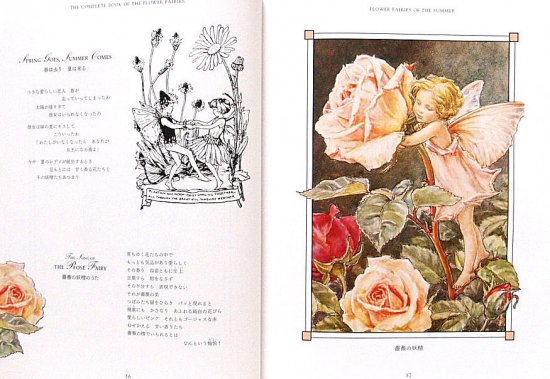 フラワーフェアリーズ ―花の妖精たち 愛蔵版― - 中古絵本と、絵本や 