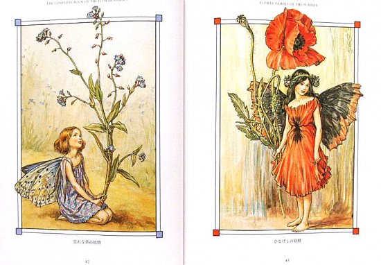 配送ネットワーク 花の妖精　サンザシの花の妖精のうた　フラワーフェアリーズ 印刷物