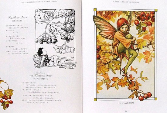 フラワーフェアリーズ ―花の妖精たち 愛蔵版― - 中古絵本と、絵本や 