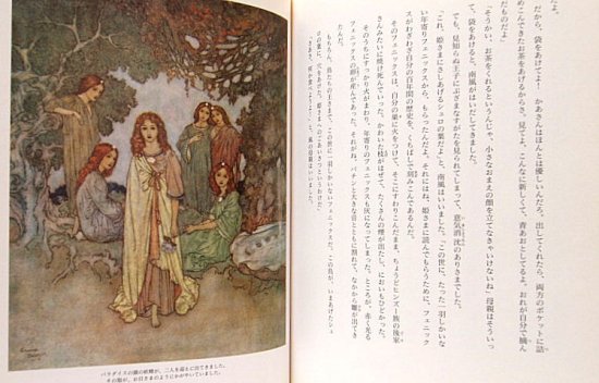 挿絵本〉人魚姫 アンデルセン童話集２ - 中古絵本と、絵本やかわいい古本屋 -secondhand books online-