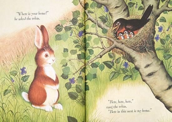 英語〉Home for a Bunny (a Golden Lap Book) - 中古絵本と