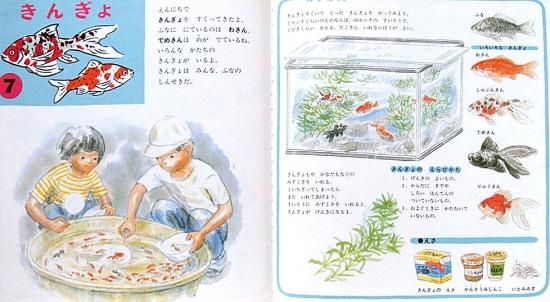 ぼくのわたしのすいぞくかん かがくのとも傑作集 - 中古絵本と