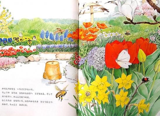 道ばたの四季 福音館のかがくのほん ＊ - 中古絵本と、絵本や