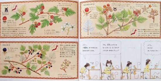 イチゴはともだち ―みつける・たべる・そだてる― - 中古絵本と、絵本や