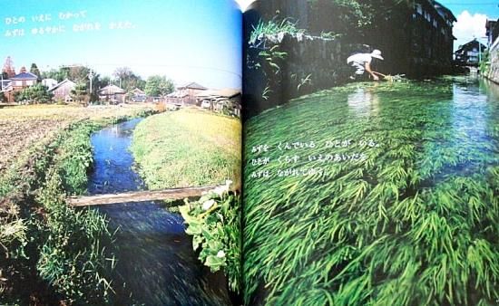 みずのたび かがくのとも521号 - 中古絵本と、絵本やかわいい