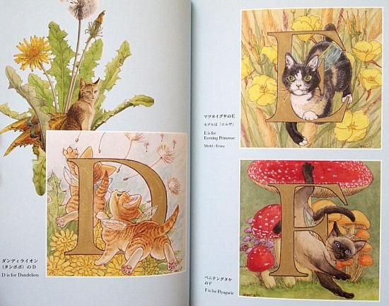 画集〉FAIRY CATS 妖精猫・AからZまで - 中古絵本と、絵本や 画集〉FAIRY CATS 妖精猫・AからZまで - 中古絵本と、絵本や
