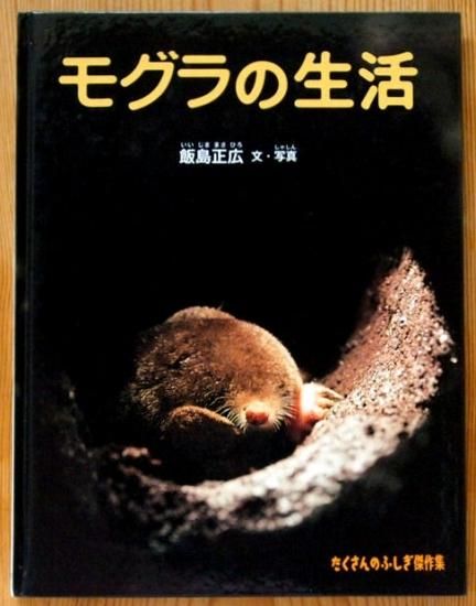 モグラの生活 たくさんのふしぎ傑作集 中古絵本と 絵本やかわいい古本屋