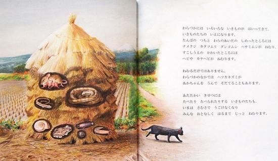 たんぼにできたわらのいえ かがくのとも572号 - 中古絵本と