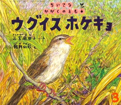 ウグイス ホケキョ ちいさなかがくのとも９６号 - 中古絵本と、絵本や 