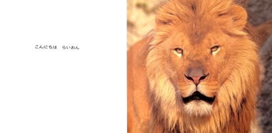 こんにちはどうぶつたち 0.1.2.えほん - 中古絵本と、絵本や