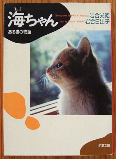 新潮文庫 / 海ちゃん ある猫の物語 - 中古絵本と、絵本やかわいい