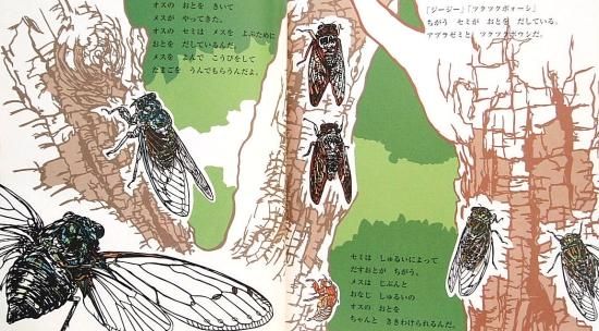 かがくのとも むしたちのさくせん なりすますむしたち うんち