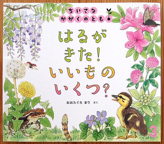 はるがきた！いいものいくつ？ ちいさなかがくのとも２２８号 - 中古 