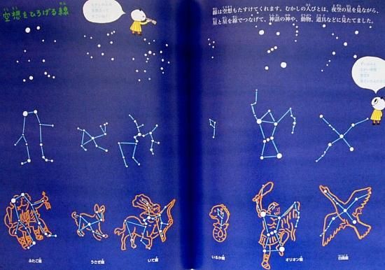 線とあそぼう たくさんのふしぎ382号 - 中古絵本と、絵本や 線とあそぼう たくさんのふしぎ382号 - 中古絵本と、絵本や