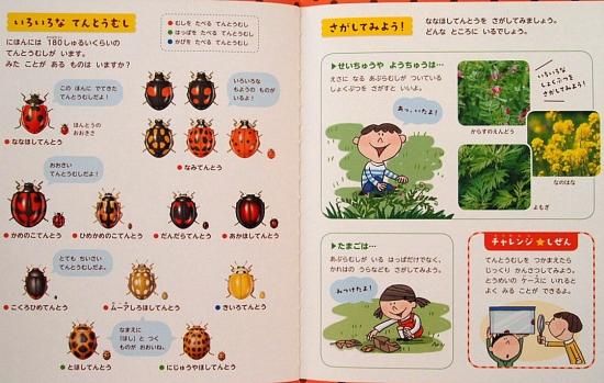 女の子向けプレゼント集結 てんとうむし しぜんキンダーブック 中古絵本と、絵本や - 知育絵本、学習絵本