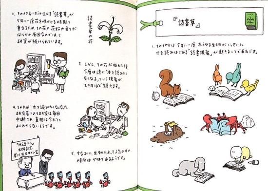中古】 ぼくのあにきタケちゃん/あかね書房/辻邦の通販 by