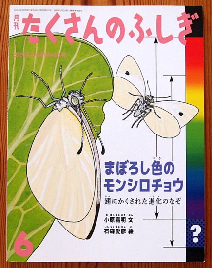 まぼろし色のモンシロチョウ 翅にかくされた進化のなぞ たくさんのふしぎ４２３号 - 中古絵本と、絵本やかわいい古本屋 -secondhand  books online-