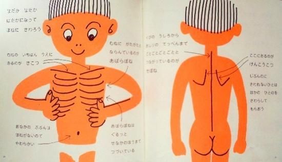 はだかはだか かがくのとも特製版 - 中古絵本と、絵本やかわいい古本屋 -secondhand books online-