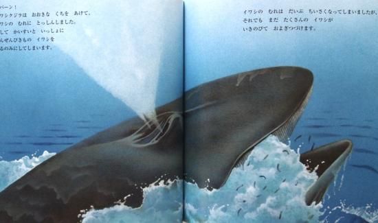 イワシ むれでいきるさかな かがくのとも530号 - 中古絵本と