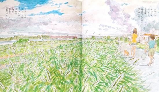 いつもとなりにねこじゃらし かがくのとも533号 - 中古絵本と いつもとなりにねこじゃらし かがくのとも533号 - 中古絵本と