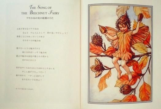 花の妖精たち -秋- - 中古絵本と、絵本やかわいい古本屋
