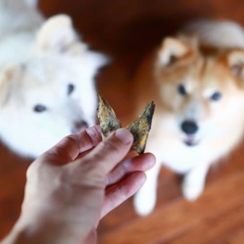 MjAyNDA5dW5hZ2lfMDVJTUdfMjA1MQ