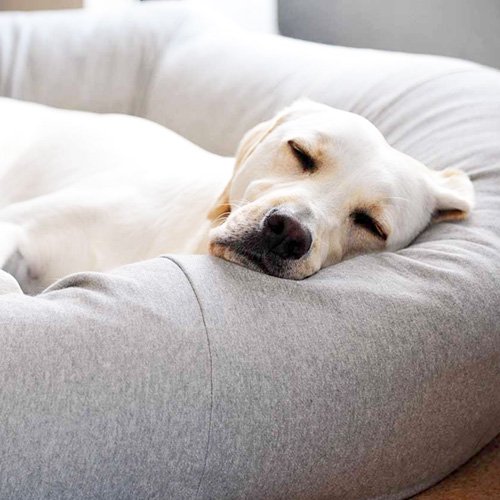 オーガニックコットン犬用ベッド - Lサイズ