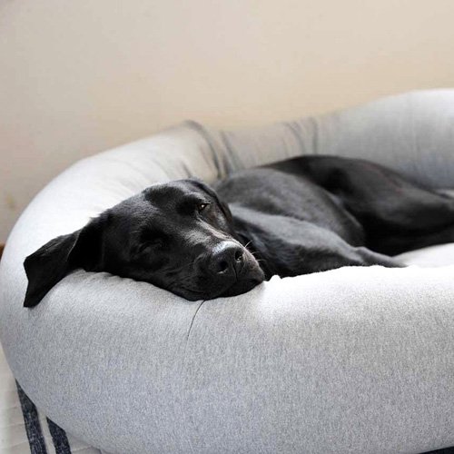 オーガニックコットン犬用ベッド - Lサイズ｜犬用ベッド｜DeLoreans